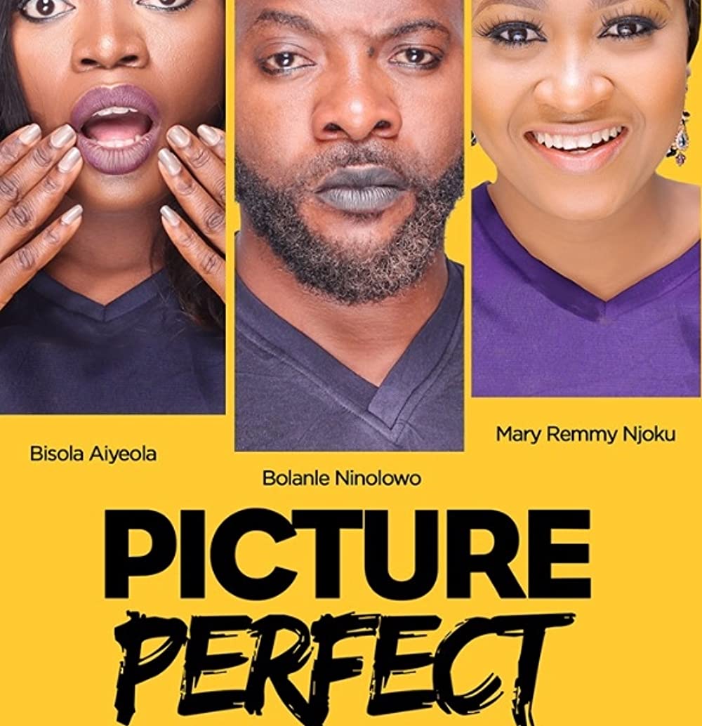 Picture Perfect 2016 movie poster
