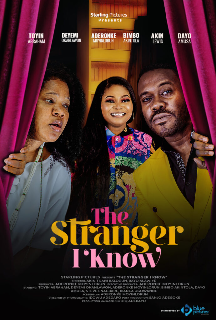 The Stranger I Know 2022 Movie Poster - Nollywire