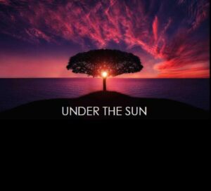 Under the sun - Nollywire