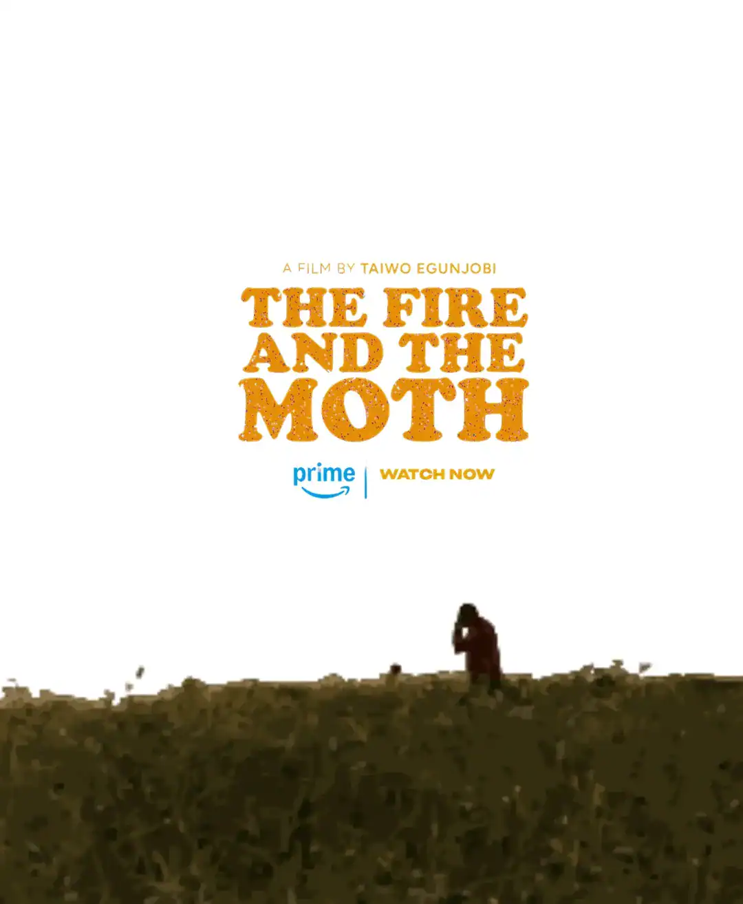 'Fire & the moth' (2025) - Nollywire