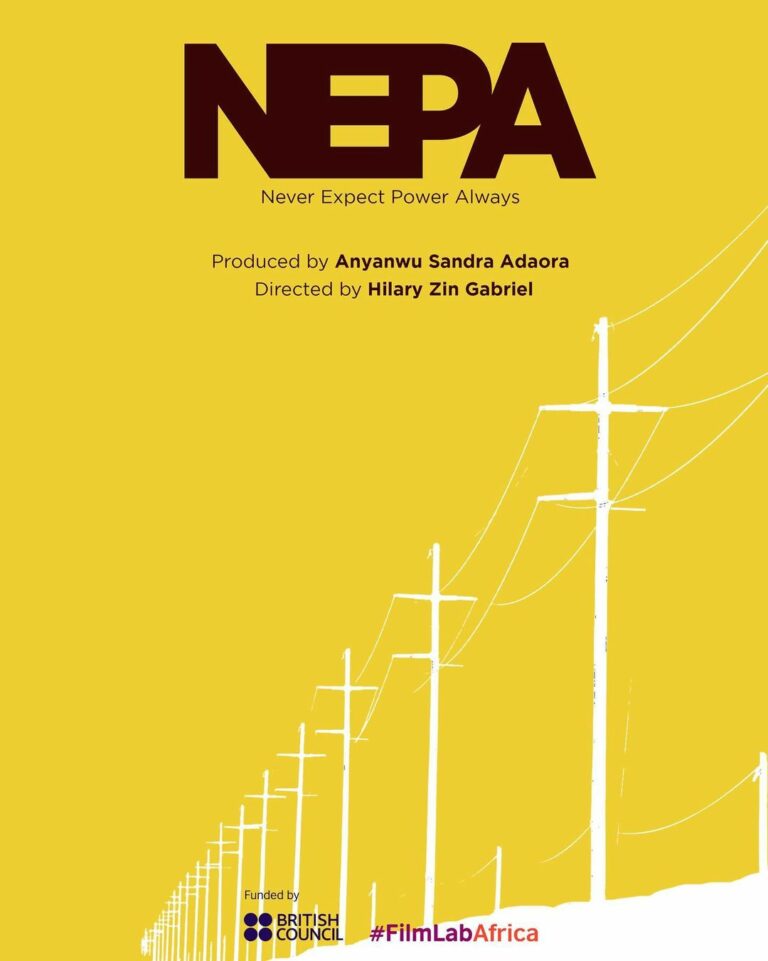 “NEPA (Never Expect Power Always)” - Nollywire