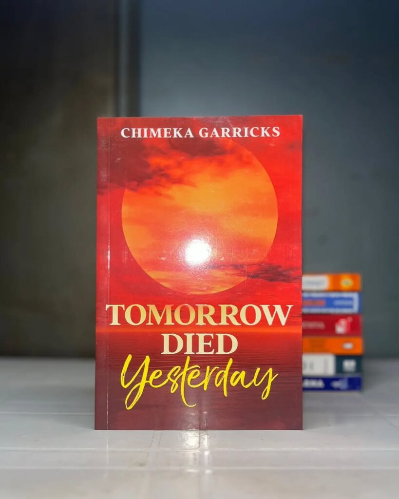 5 Book Adaptations NollyPhiles Want to See on the Big Screen 1 inmark 5