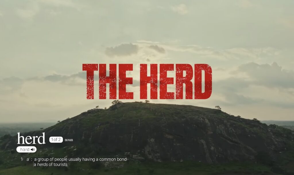 The Herd - Nollywire