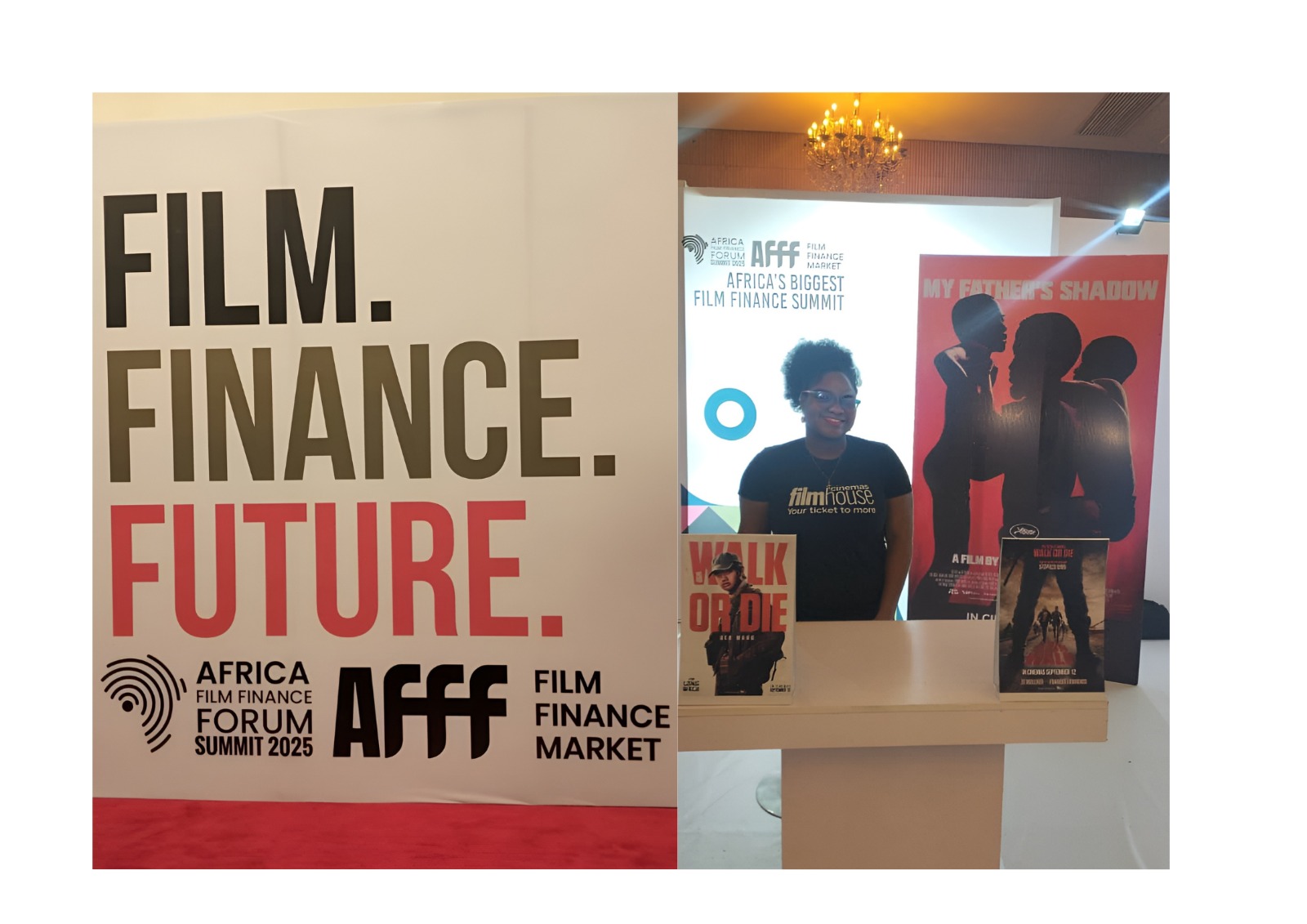Filmhouse Group Partners with Africa Film Finance Forum 2025 to Accelerate Africa’s Creative Economy - Nollywire