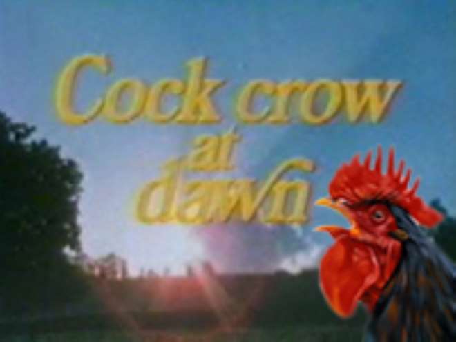 Cock Crow at Dawn 1980 Nollywire