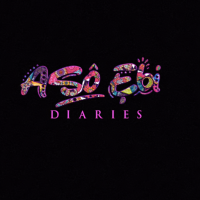 Aso Ebi Diaries - Nollywire