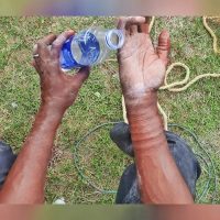 BoL viii - Nollywire