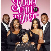 Skinny Girl in Transit 2016 Series Poster