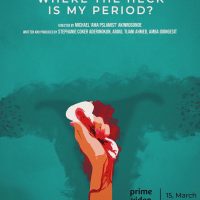 Where The Heck Is My Period (2024) - Nollywire